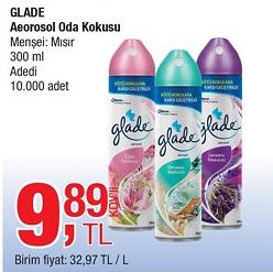 Glade Aerosol Oda Kokusu 300 ml image