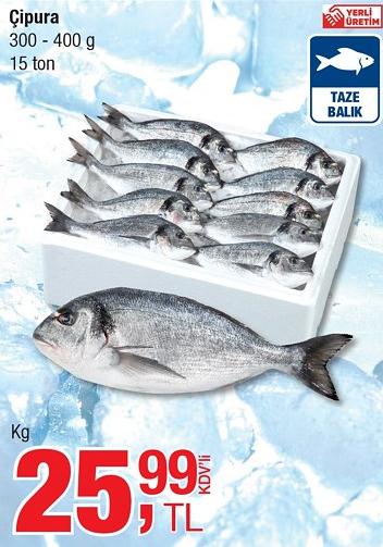 Çipura 300 - 400 g Kg image