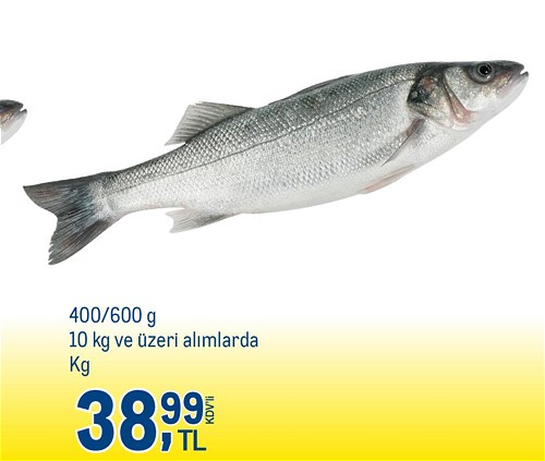 Metro Levrek 400/600 g 10 kg ve Üzeri Alımlarda Kg