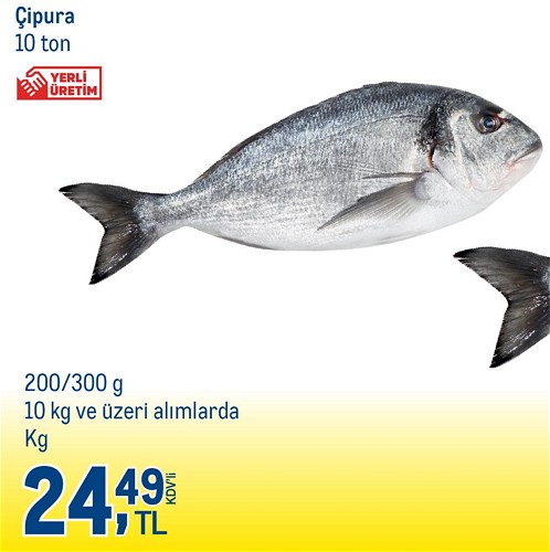 Çipura 200/300 g 10 kg ve Üzeri Alımlarda Kg image