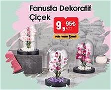 Fanusta Dekoratif Çiçek image