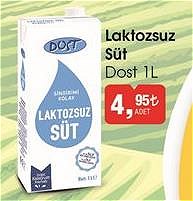 Dost Laktozsuz Süt 1 l image