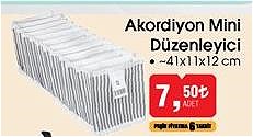 Akordiyon Mini Düzenleyici 41x11x12 cm image