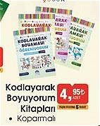 Martı Çocuk Kodlayarak Boyuyorum Kitapları/Adet image