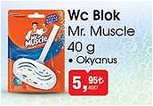 Mr. Muscle 40 g Okyanus Wc Blok image