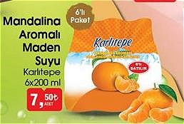 Karlıtepe Mandalina Aromalı Maden Suyu 6x200 ml image