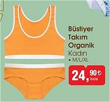 Büstiyer Takım Organik Kadın image