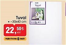 Tuval 30x40 cm image