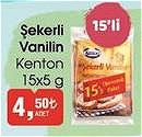 Kenton Şekerli Vanilin 15x5 g image