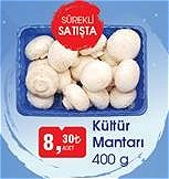 Kültür Mantarı 400 g image