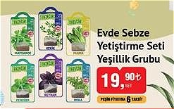 Evde Sebze Yetiştirme Seti Yeşillik Grubu image