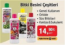 Bitki Besini Çeşitleri image