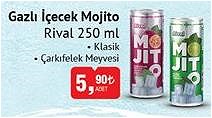 Rival Gazlı İçecek Mojito 250 ml Çeşitleri image