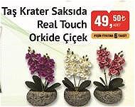 Taş Krater Real Touch Orkide Çiçek image