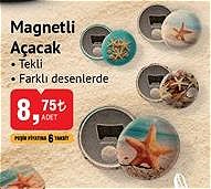 Magnetli Açacak Tekli image