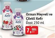 Dost Orman Meyveli ve Çilekli Kefir 250 ml image