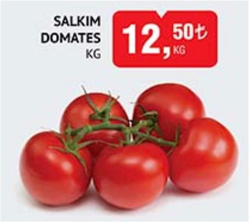 Salkım Domates kg image