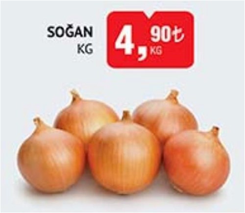 Soğan kg image