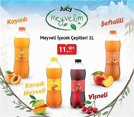 Jucy Meyvelim Meyveli İçecek Çeşitleri 1 L image