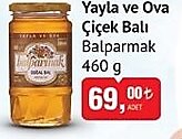 Balparmak Yayla ve Ova Çiçek Balı 460 g image