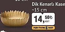 Colorina Dik Kenarlı Kase 15 cm image