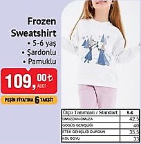 Frozen Sweatshirt 5-6 Yaş image