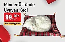 Minder Üstünde Uyuyan Kedi image