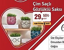 Çim Saçlı Gözlüklü Saksı image