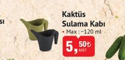 Kaktüs Sulama Kabı 120 ml  image