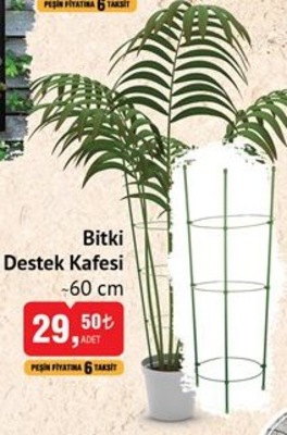 Bitki Destek Kafesi 60 cm  image