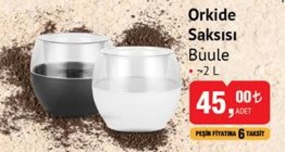 Orkide Saksısı Buule 2 L image