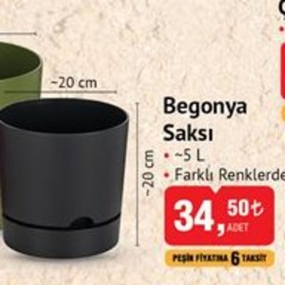 Begonya Saksı 5 L 20x20 cm  image