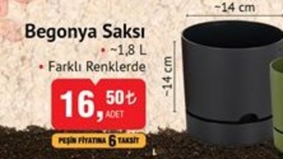 Begonya Saksısı 1,8 l 14x14 cm image