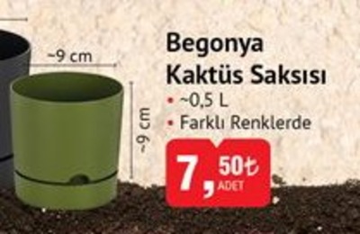 Begonya Kaktüs Saksısı 0,5 L 9X9 cm image