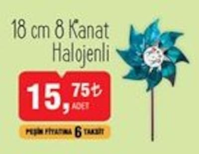 Rüzgar Gülü 18 cm 8 Kanat image