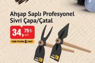 SGS Ahşap Saplı Profesyonel Sivri Çapa/Çatal image