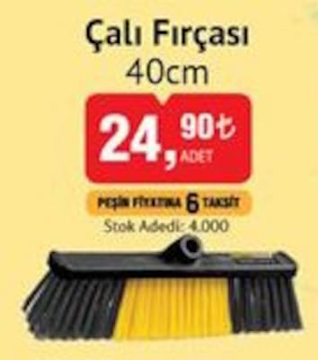 Çalı Fırçası 40 cm image