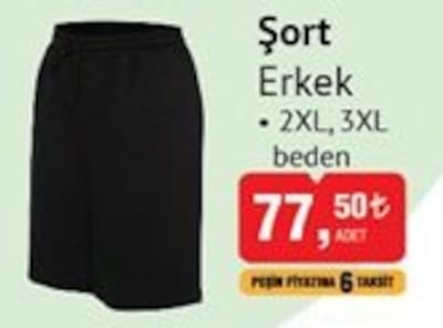 Şort Erkek image