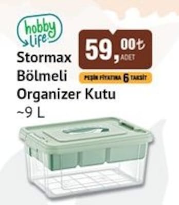 Hobby Life Stormax Bölmeli Organizer Kutu 9 L image