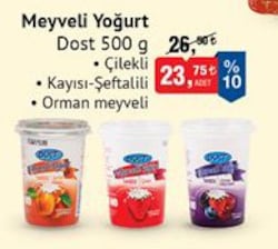 Dost Meyveli Yoğurt Çeşitleri 500 g image