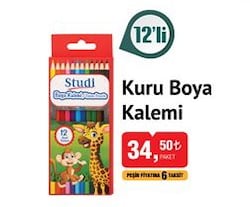 Studi Kuru Boya Kalemi 12'li image