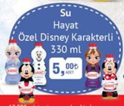 Hayat Su Özel Disney Karakterli 330 ml image