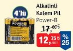 Power-B Alkalinli Kalem Pil 4'lü image