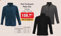 Tam Fermuarlı Polar Üst Erkek image