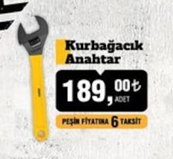 Sgs Kurbağacık Anahtar image