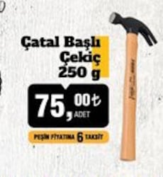 Sgs Çatal Başlı Çekiç 250 g image