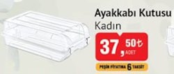 Ayakkabı Kutusu Kadın image