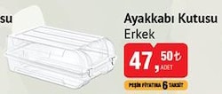 Ayakkabı Kutusu Erkek image