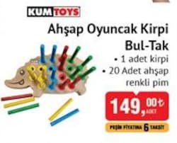 Kumtoys Ahşap Oyuncak Kirpi Bul-Tak  image