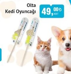 Froggo Olta Kedi Oyuncağı image